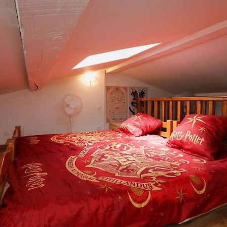 Harry Potter - Le Logis Du Petit Sorcier - Clim Appartement Carcassonne Buitenkant foto